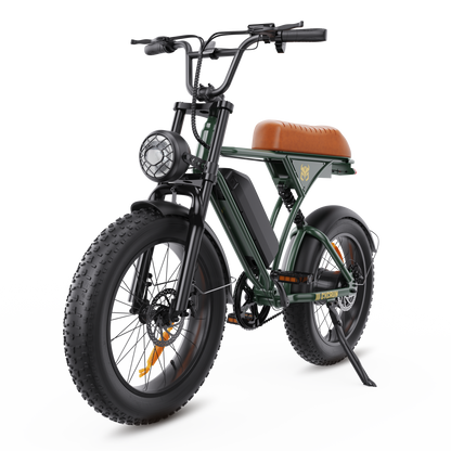 CycRun Vintage Moped Ebike