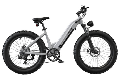 CycVerve All-terrain Electric Bike