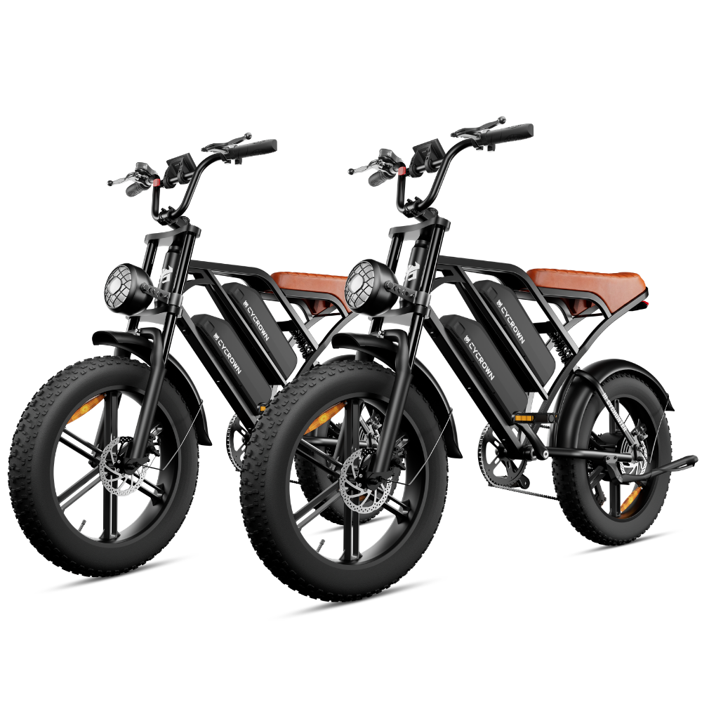 CycHunter Moped-Style E-Bike