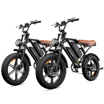 CycHunter Moped-Style E-Bike