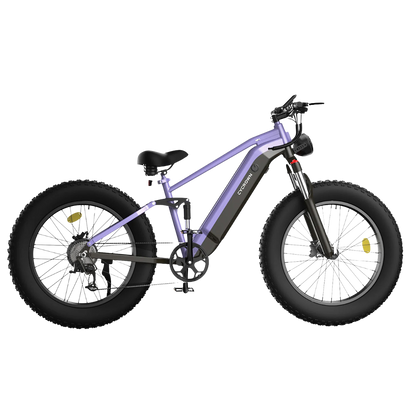 CycUltra All-terrain Ebike (BOGO)