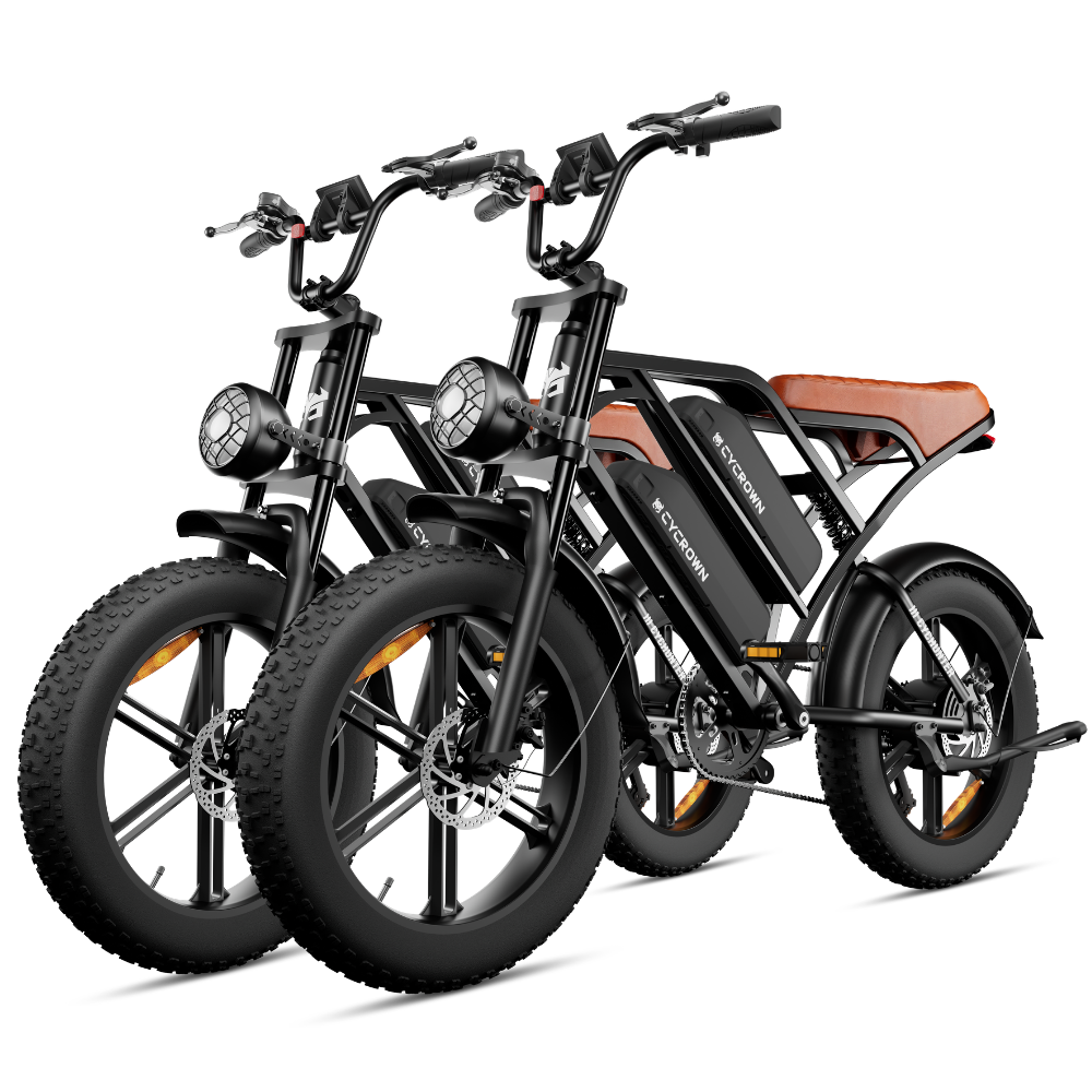 CycHunter Moped-Style E-Bike