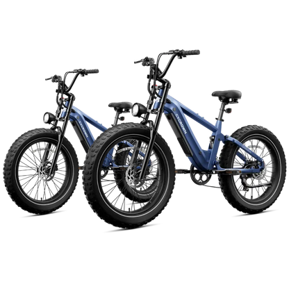 Roma All-Terrain E-Bike
