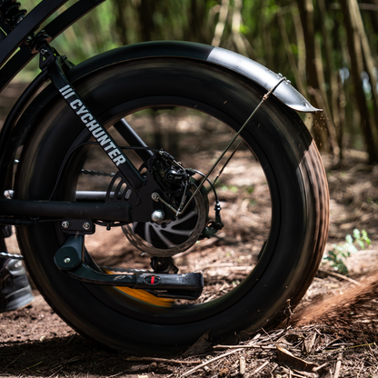 CycHunter Moped-Style Ebike