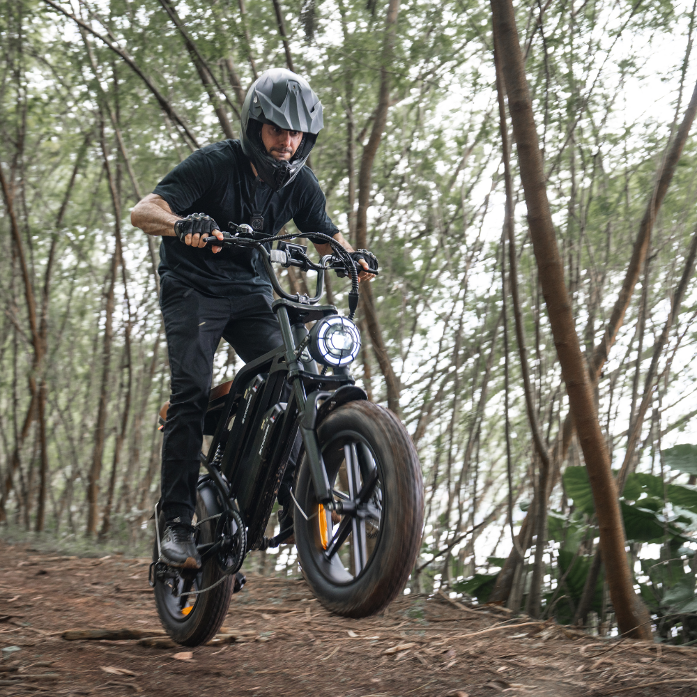 CycHunter Moped-Style Ebike