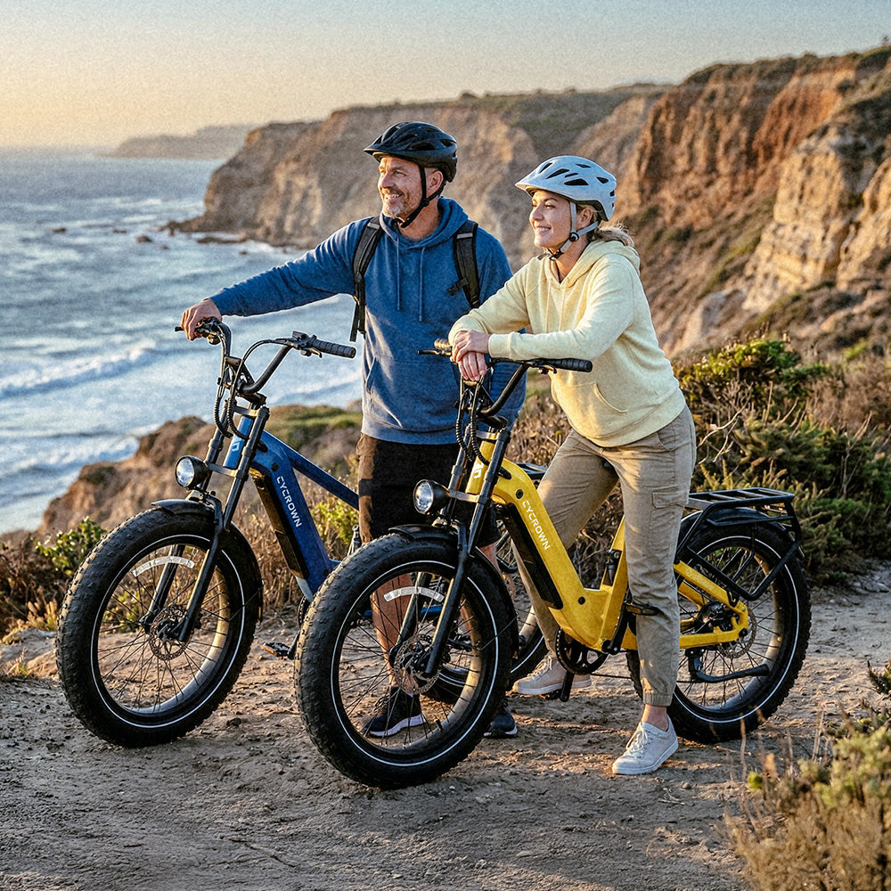 Roma All-Terrain Ebike