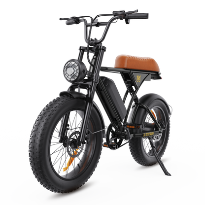 CycRun Vintage Moped Ebike