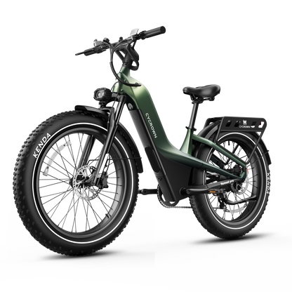 Nomad Pro Fat Tire Ebike