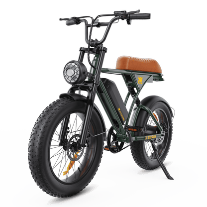 CycRun Vintage Moped Ebike