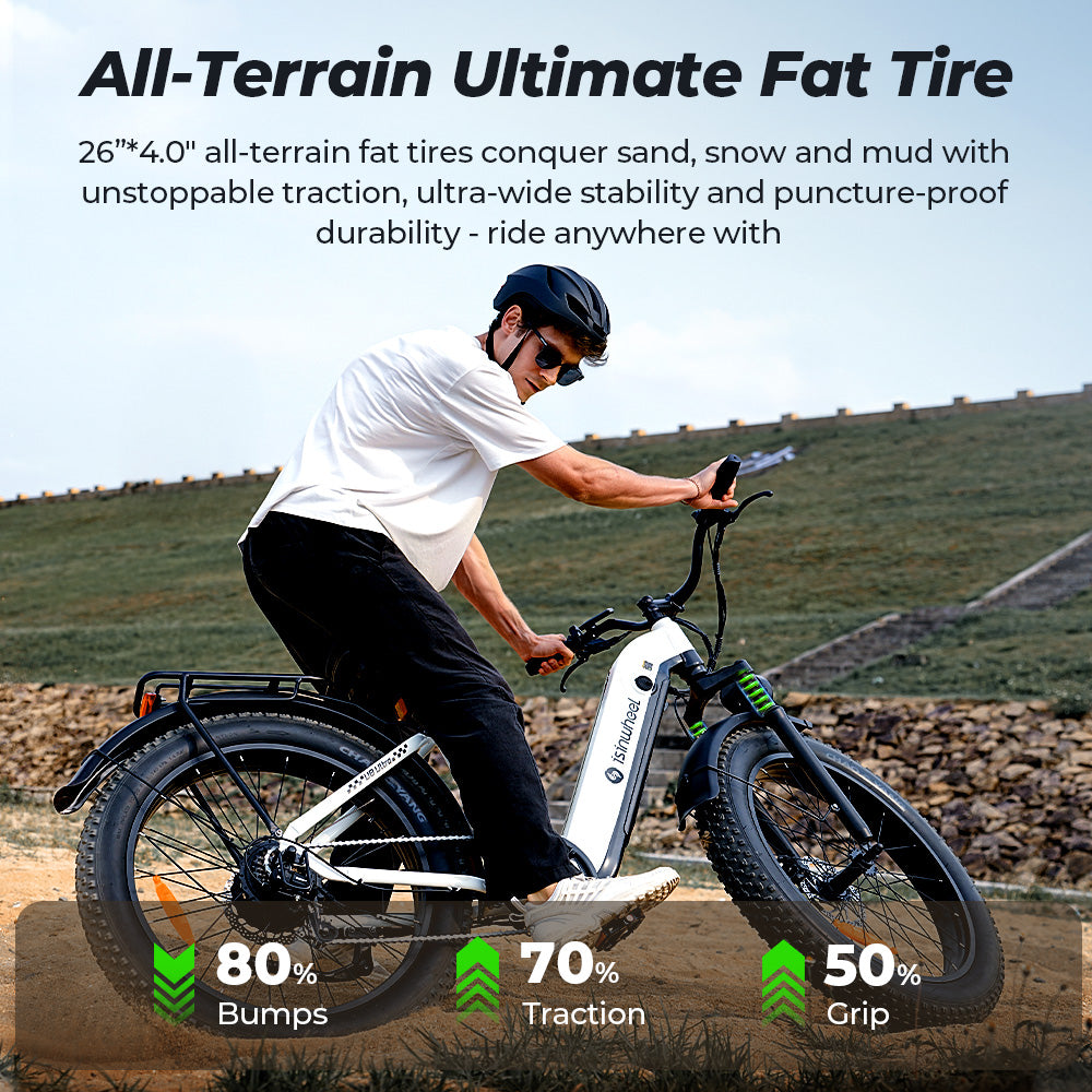 U8 Fat Tire Ebike
