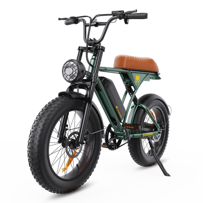 CycRun Vintage Moped Ebike
