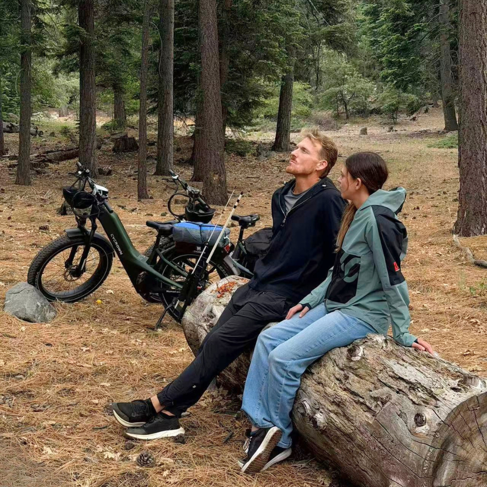 Nomad Pro Fat Tire Ebike