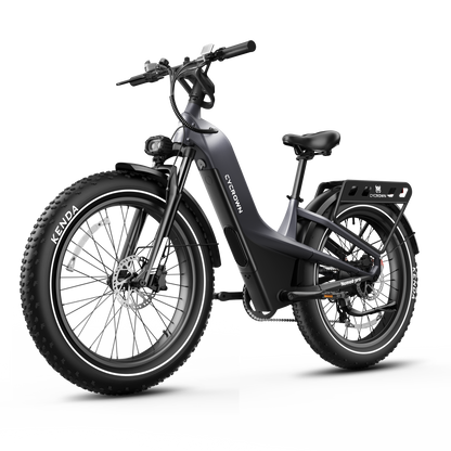 Nomad Pro Fat Tire Ebike