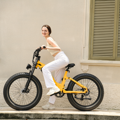 Roma All-Terrain Step-through Ebike