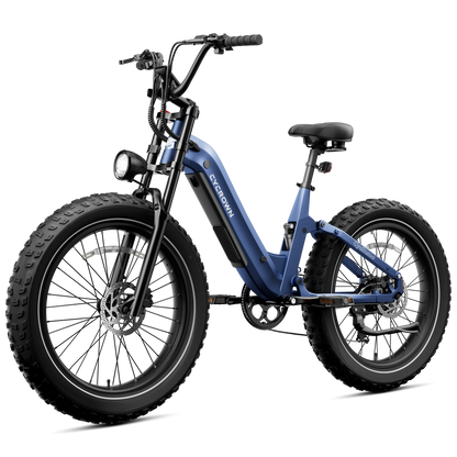 Roma All-Terrain Ebike