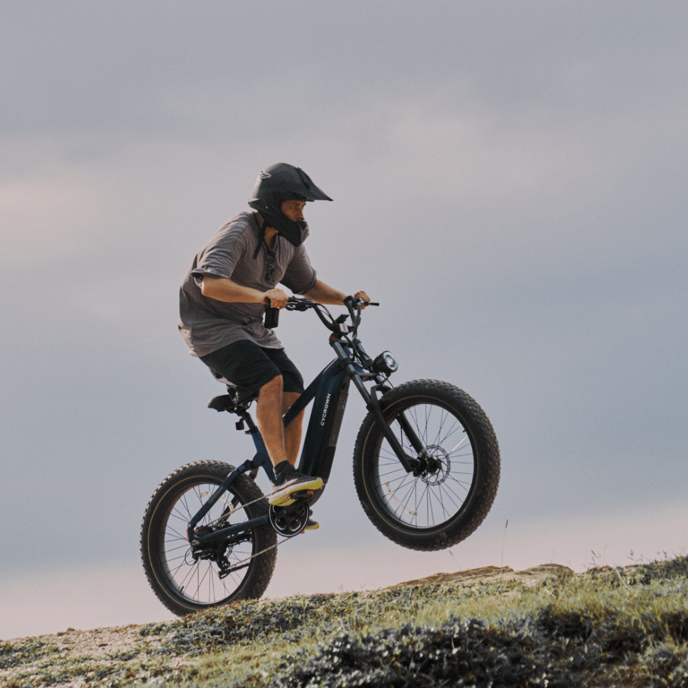 Roma All-Terrain Ebike