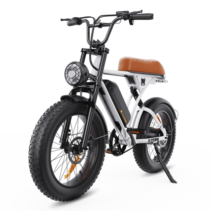 CycRun Vintage Moped Ebike