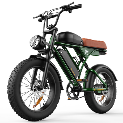 CycRun Vintage Moped Ebike