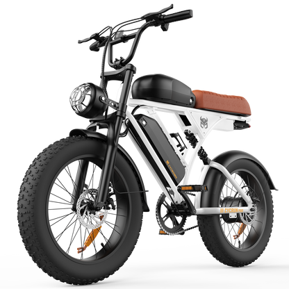 CycRun Vintage Moped Ebike