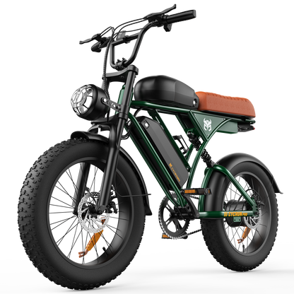 CycRun Vintage Moped Ebike