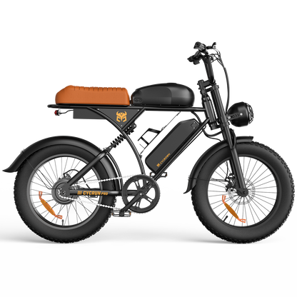 CycRun Vintage Moped Ebike