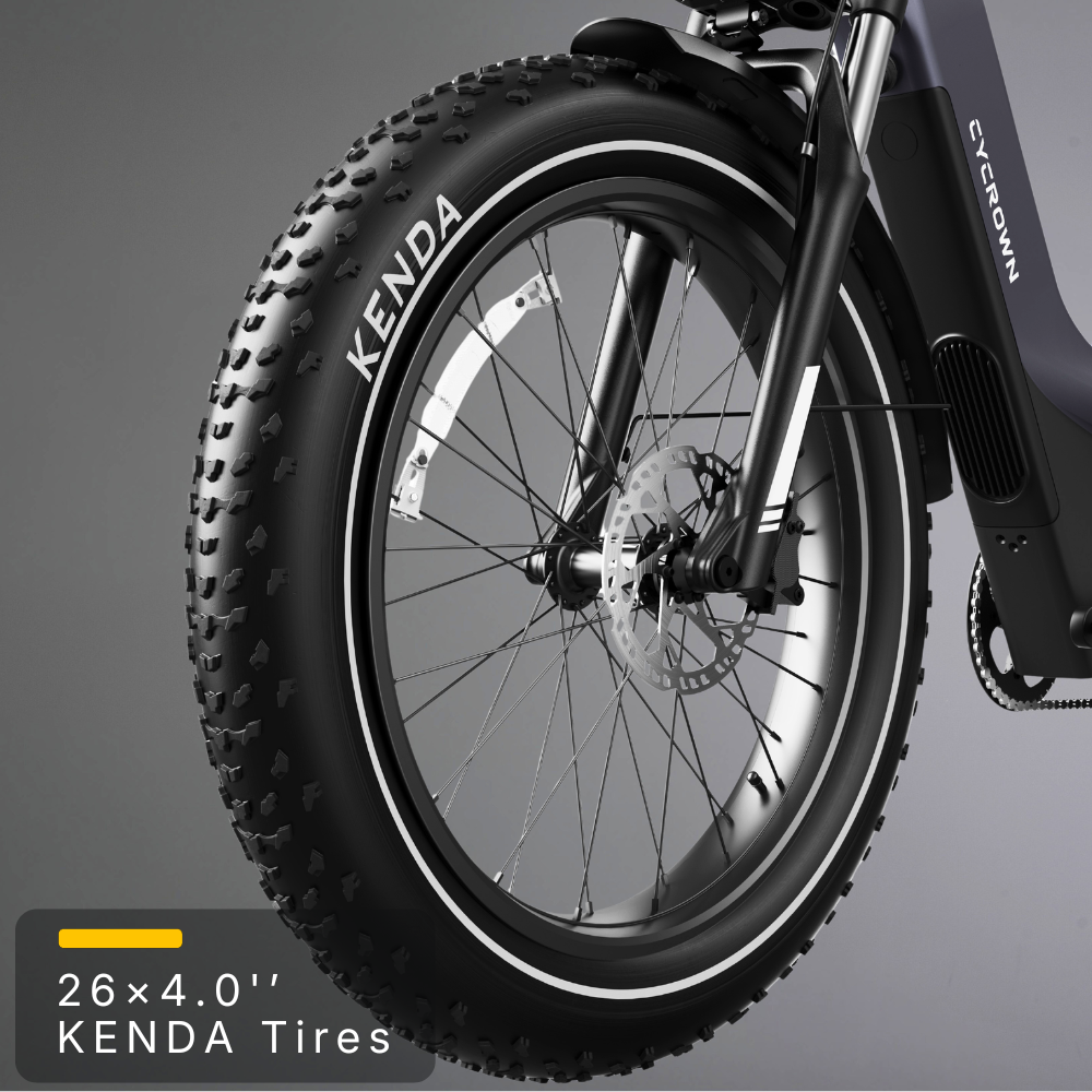 Nomad Pro Fat Tire Ebike