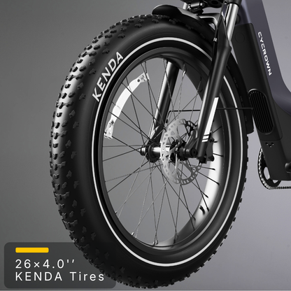 Nomad Pro Fat Tire Ebike