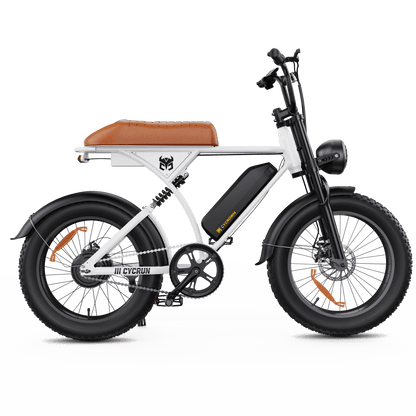 CycRun Vintage Moped Ebike