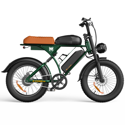 CycRun Vintage Moped Ebike