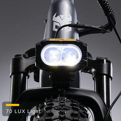 Nomad Pro Fat Tire Ebike