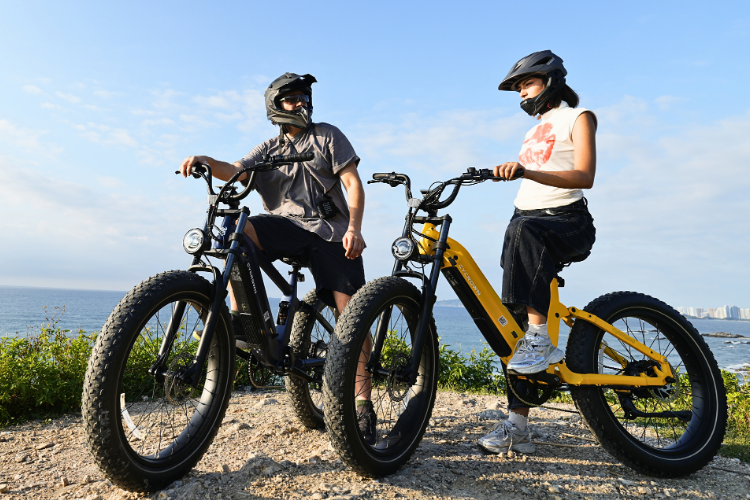 Full Suspension Ebikes