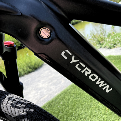 Dremax Commuter Step-Over E-Bike