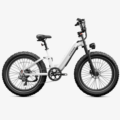 Roma All-Terrain Step-through Ebike