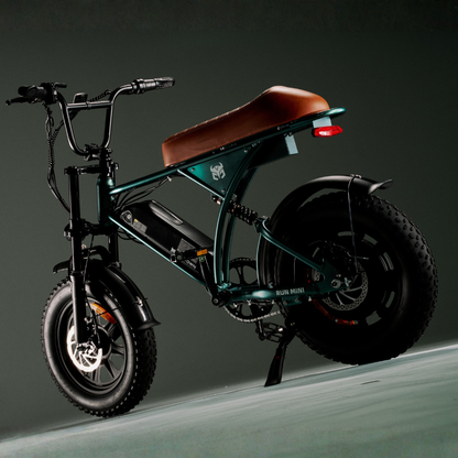 Run Mini Vintage Moped Ebike