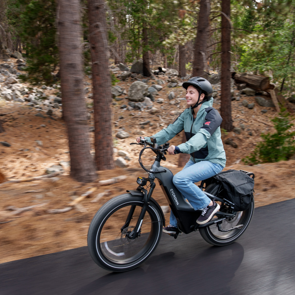 Nomad Pro Fat Tire Ebike