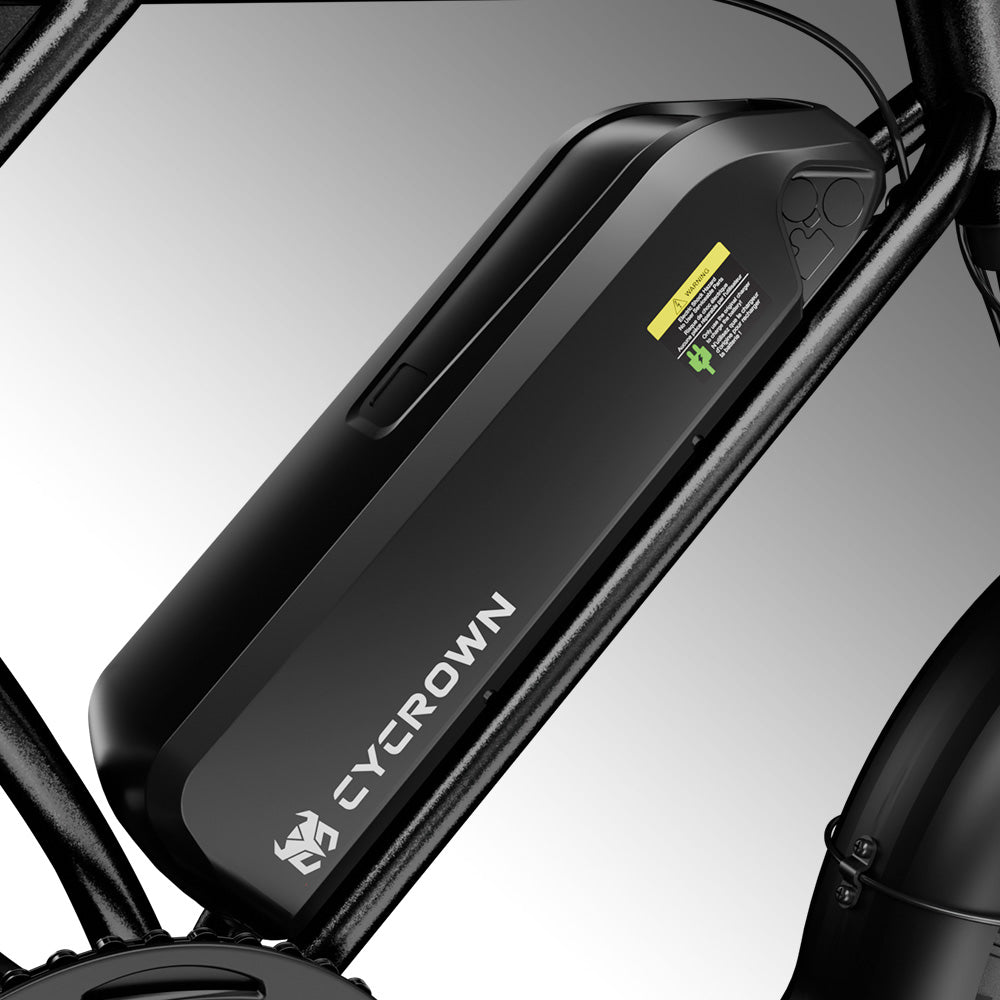 Run Mini Vintage Moped Ebike