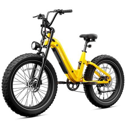Roma All-Terrain Ebike