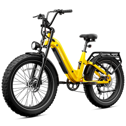 Roma All-Terrain Ebike