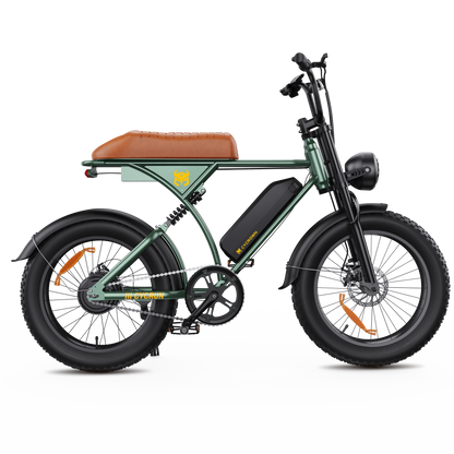 CycRun Vintage Moped Ebike