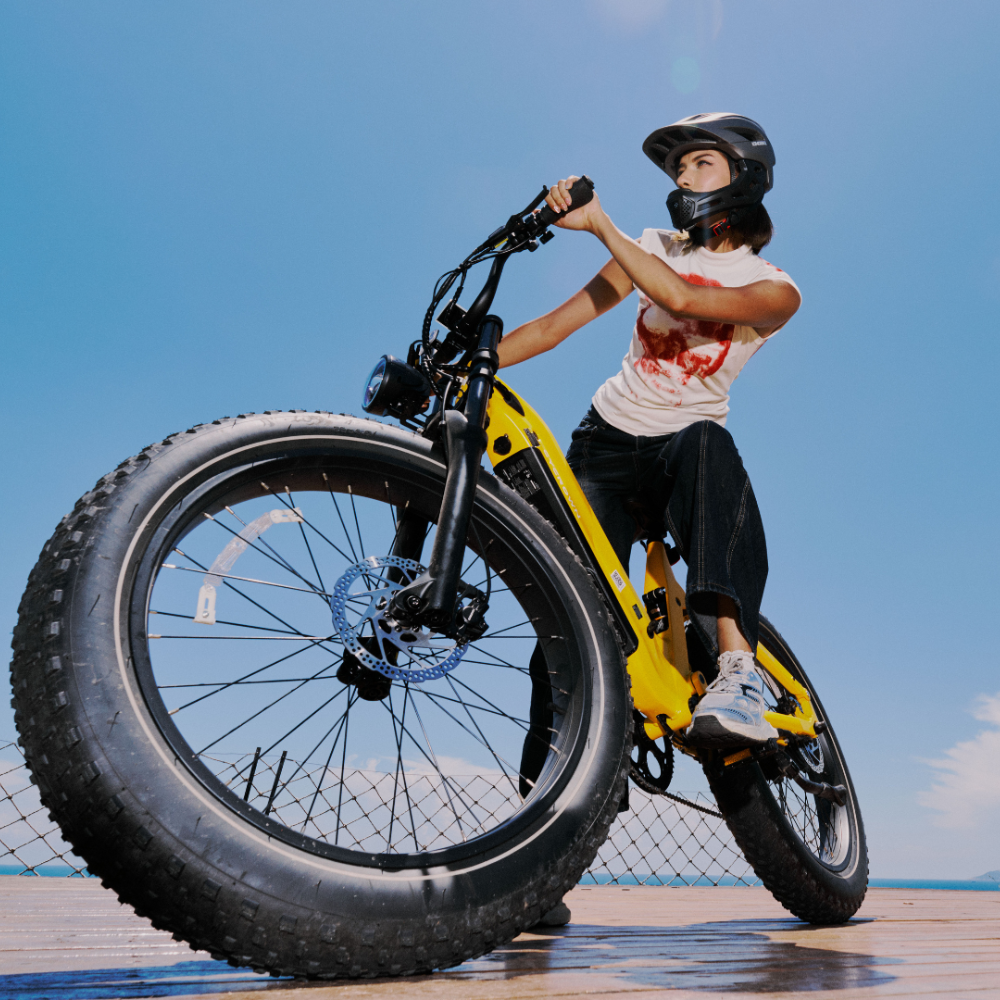 Roma All-Terrain Ebike