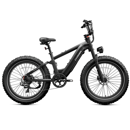 Roma All-Terrain Ebike