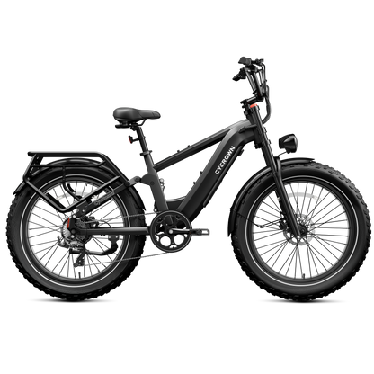 Roma All-Terrain Ebike