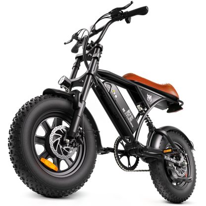Run Mini Vintage Moped Ebike