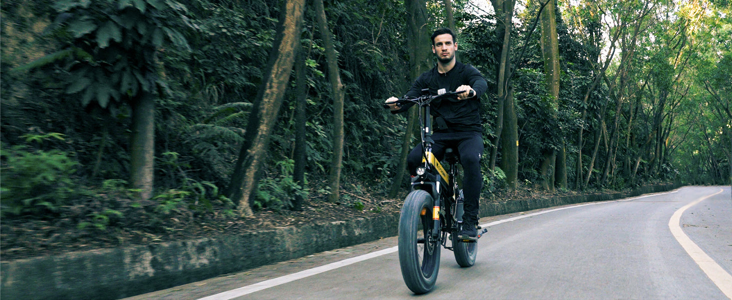 Touring electric bicycle