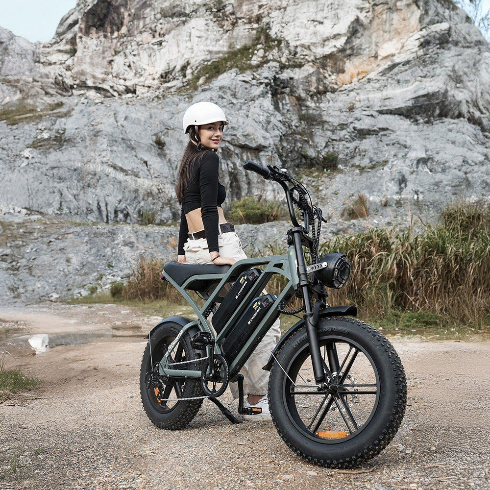 CycHunter Moped-Style Electric Bike