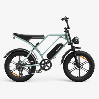 CycHunter Moped-Style Ebike