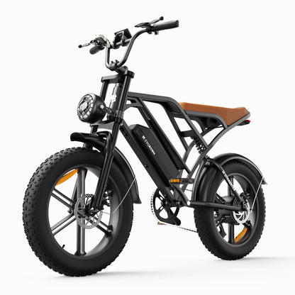 CycHunter Moped-Style Ebike