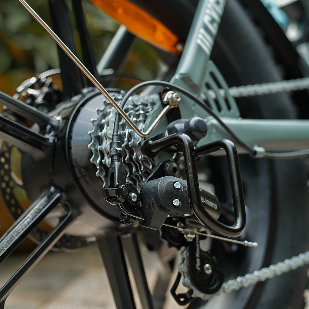 CycHunter Moped-Style Electric Bike