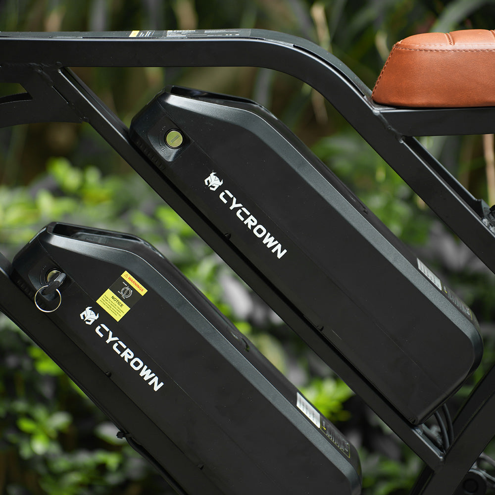 CycHunter Moped-Style Electric Bike