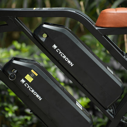 CycHunter Moped-Style Electric Bike